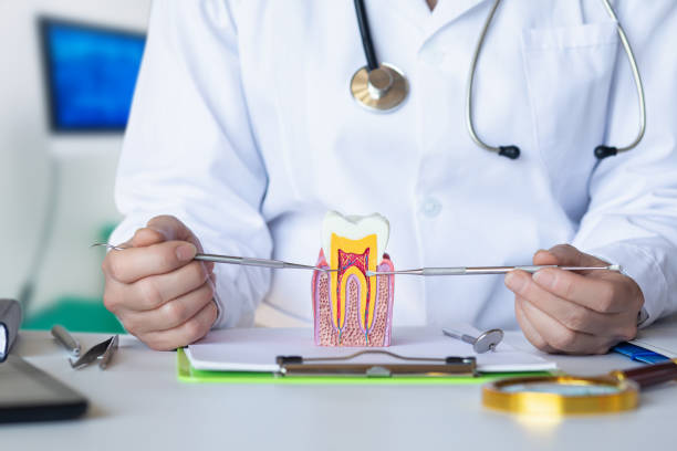 Best Emergency Tooth Extraction in Oglethorpe, GA